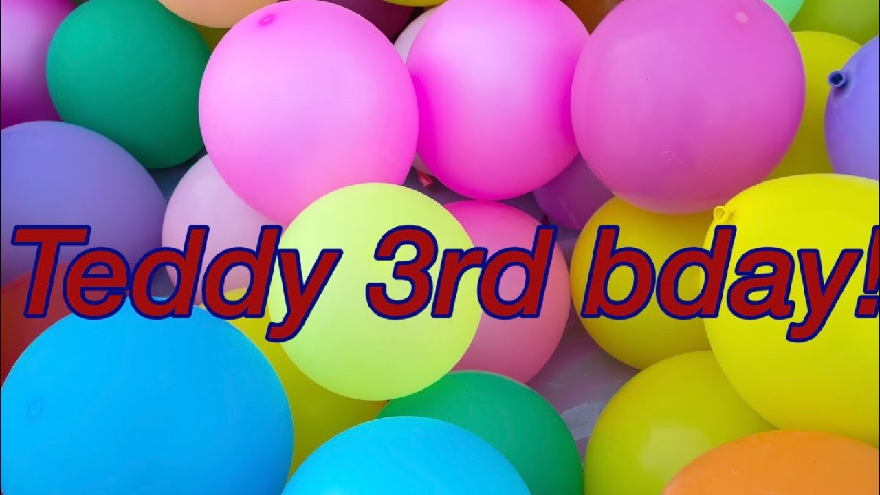 Live Teddy s Birthday He Is Turning 3 Teddy The Labradoodle YouTube