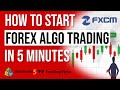 Start Forex Automation Trading with Tradingview | Test Your Strategy with Forex Demo Account