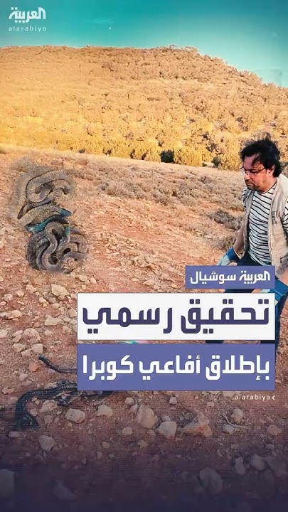  ..       70     
 - نشر قبل 10 دقيقة