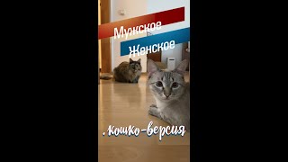 Мужское / Женское. котэ вершн