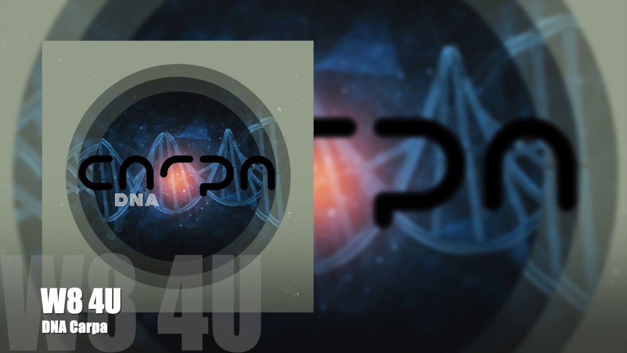 Watch Carpa - W8 4U on YouTube Watch Carpa - W8 4U on YouTube