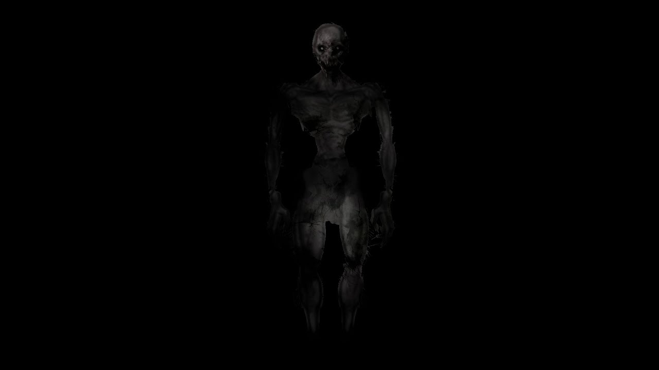 Scp 3000 картинки