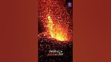 Surah Az-Zalzalah سورة الزلزله #tilawat #alquran #shotrs #viralvideo #islamicproductions