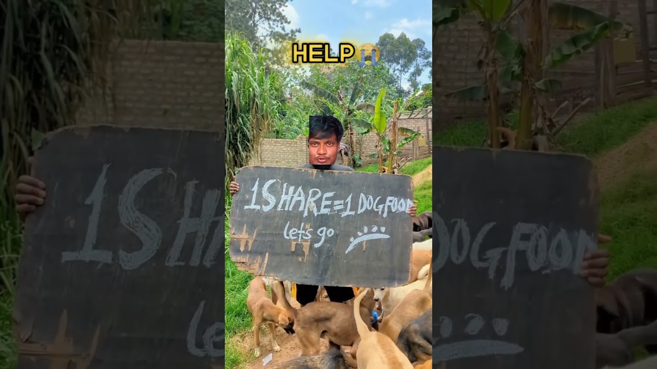 Poor Animal Rescue 🐾 | Helping Innocent Animals 🌍 | Heart Touching Animal Saving Video