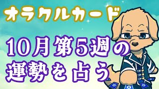 【週間占い】30日～11月5日の運勢を占います！/オラクルカード第20回【ケモノVtuber/星戌セン】