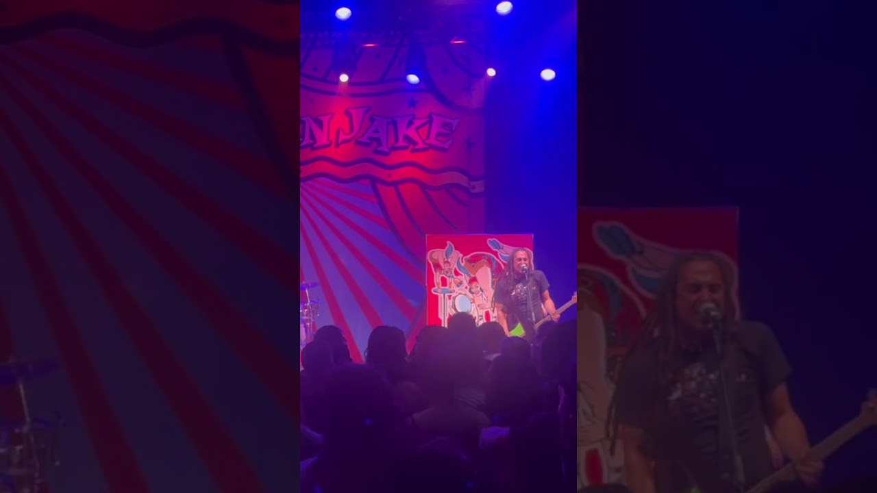 “Motown Never Sounded So Good” by Less Than Jake, Royal Oak, MI, 6/22/2025