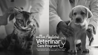 Schedule a FREE first vet visit today.