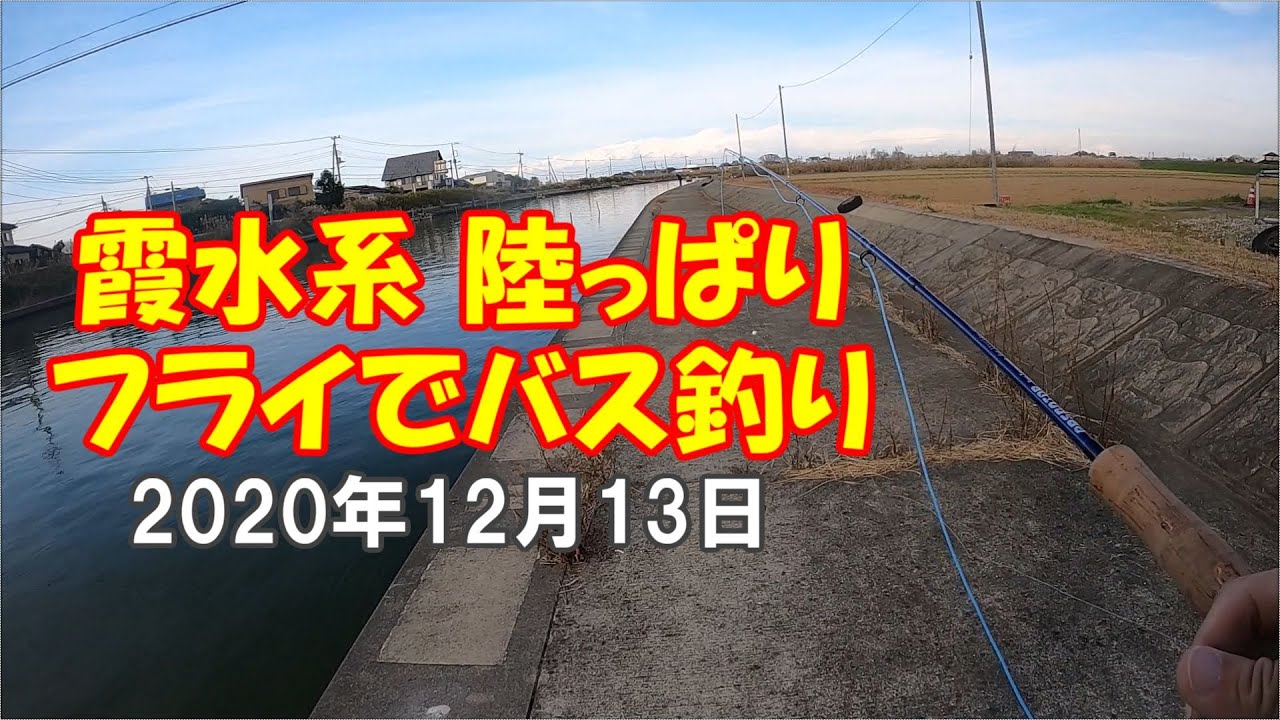 Fly Fisher 2012 年 12 月 227 バスフィッシング バス釣り Fly Fisher 2012 年 12 月 227 バスフィッシング バス釣り Fly
