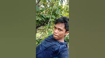 Naa Ko Dre NG Lood 