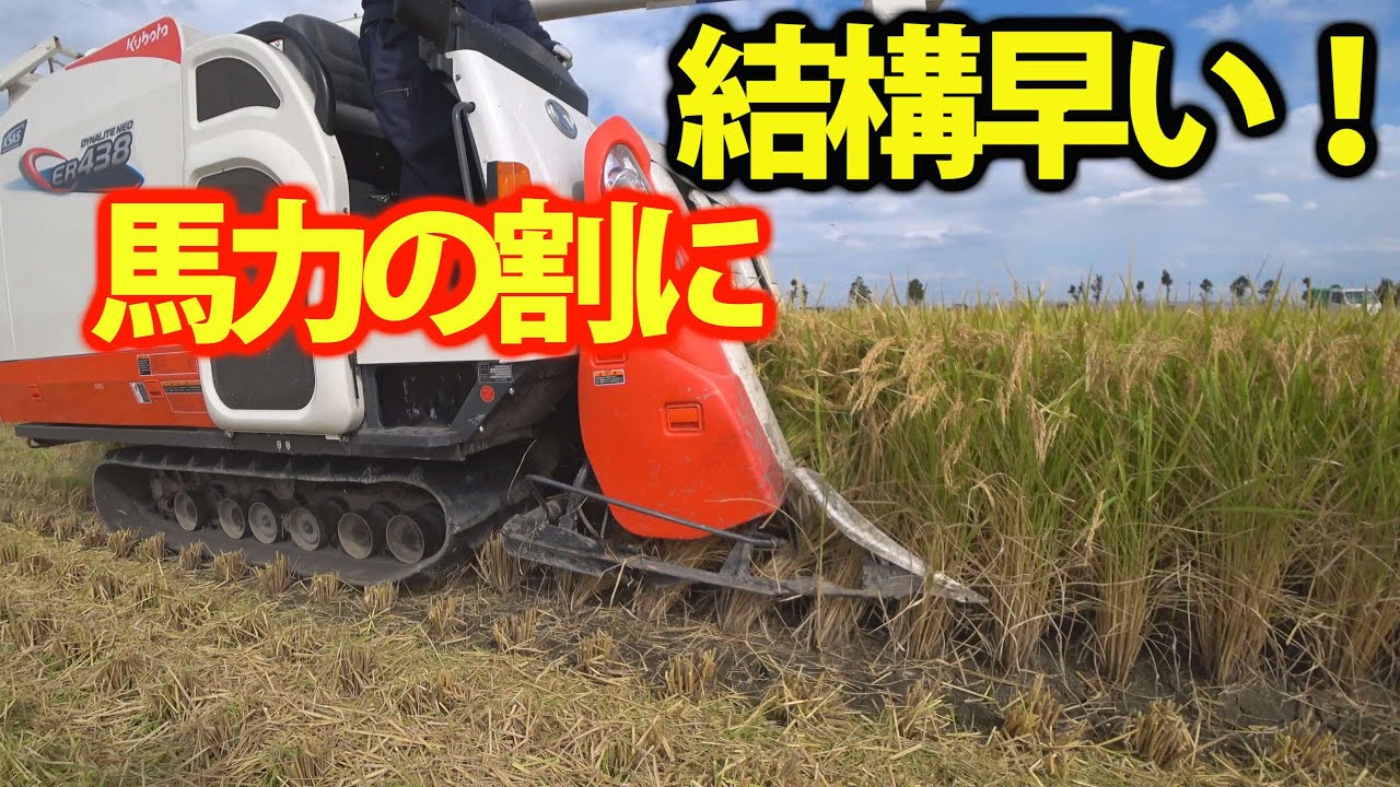 会社員実家農業手伝う】2021稲刈りクボタER438は馬力の割に刈り取り