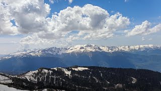 питание и сознание. тип питания отражает уровень сознания