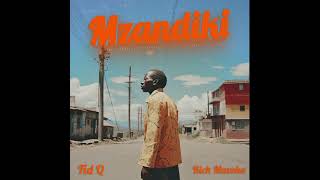Fid Q x Rich Mavoko - Mzandiki (Official Audio)