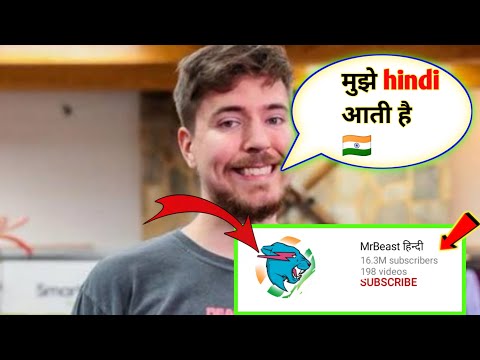 Mr beast fan hindi