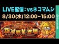 【LIVE配信】vsネコマムシ｜コロシアム【トレクル】