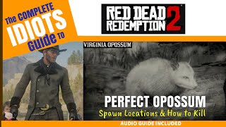 Perfect Opossum Hunting - Idiots Guide to RDR2