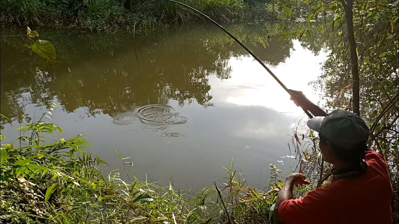TERPAKSA PULANG.!!! GARA² ADA ORANG NGAMUK-NGAMUK SAAT SAYA MANCING PESTA STRIKE
