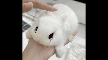 Subterfuge Progress #1