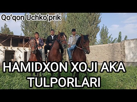 HAMIDXON XOJI AKA TULPORLARI, QOʻQON UCHKOʻPRIK.02.10.2022.