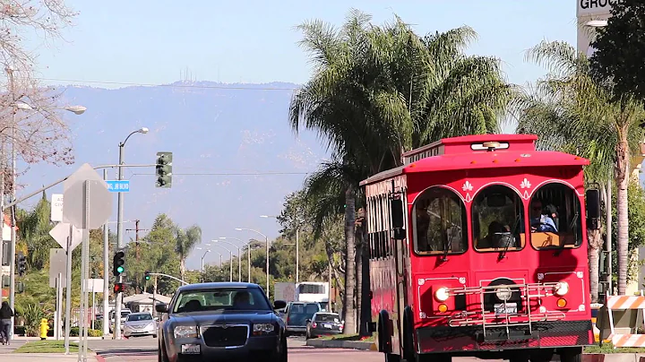 Motherland - Scenes from Lynwood, CA