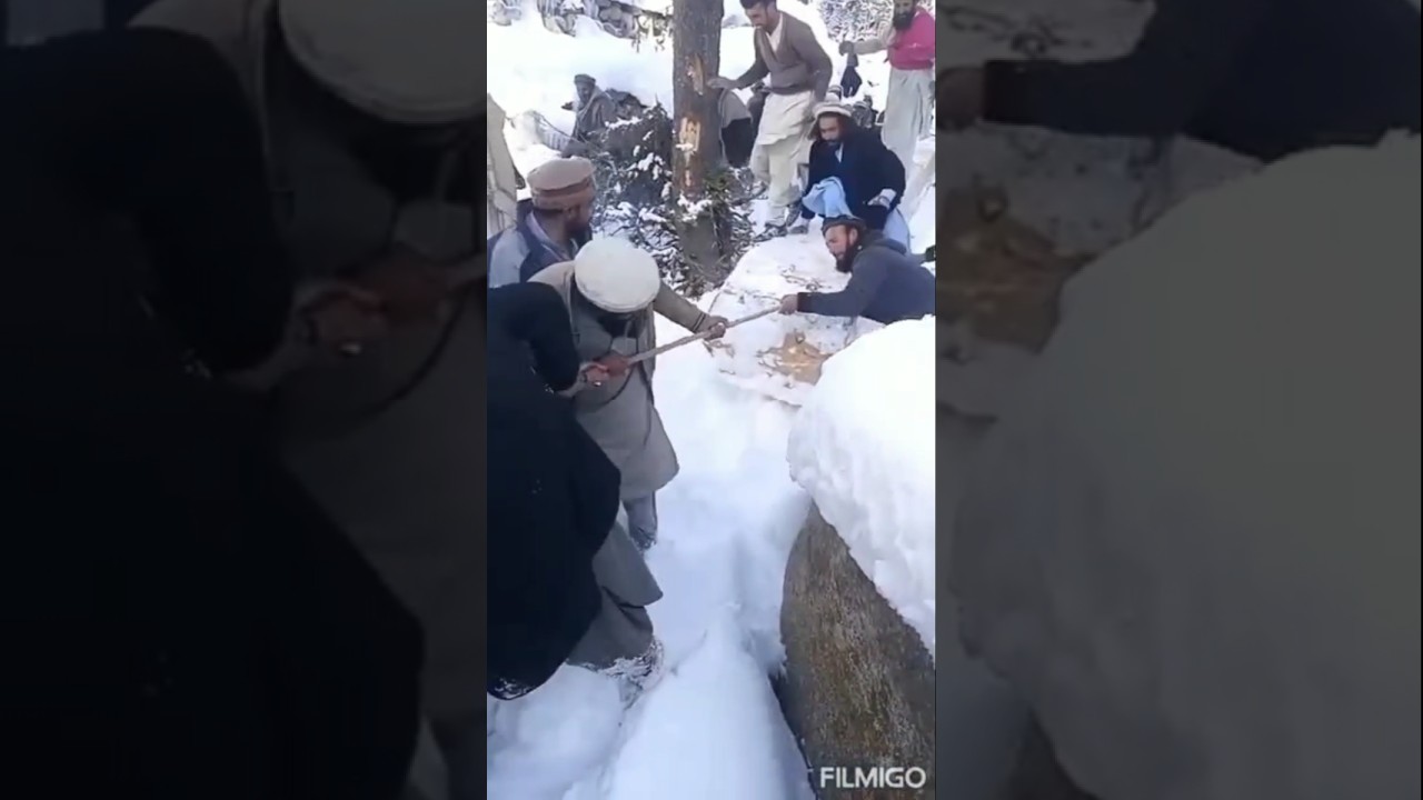 Gujjar bakarwal Culture, jammu and kashmir #poonch #rajouri #culture ...