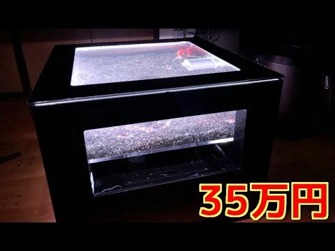 Set up an luxury table with water tank for 350,000 yen!