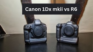 Canon 1Dx mkii vs the R6 - Which Should you Buy?