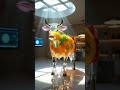Glass Cow fruit juices Dispenser #nature  #relax #shorts #weirdfacts  #fruitart  #shorts #trending