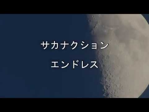 [耳コピ] エンドレス サカナクション sakanaction
