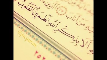 ما تيسر من سورة النمل من الآية 15 إلي الآية 65