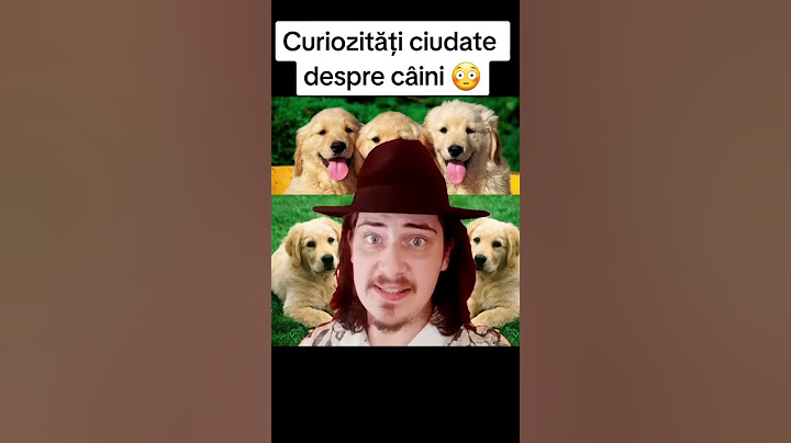 CURIOZITĂȚI DESPRE CÂINI 😳