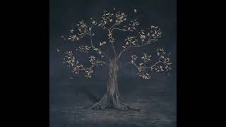 Aurora- Encrypted Love (Audio)