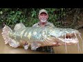 Fishermen Laughed At His 'Primitive' Hook — Until It Landed a 400-Pound Piraiba