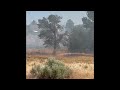 Watch Now: Spring Creek Fire - June 25,2022