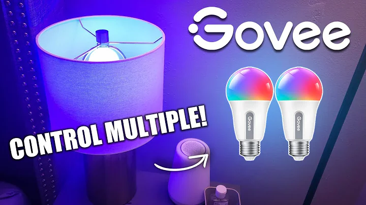 How To Control Multiple Govee Light Bulbs At Once!