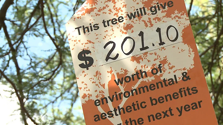Doing What Matters with Ed Zuercher |  City Arbori...