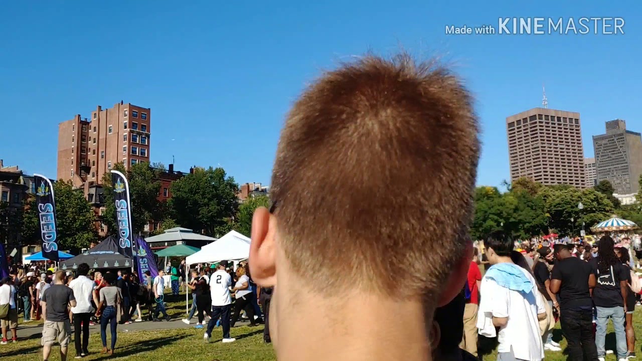 Boston Freedom Rally 2019! - YouTube