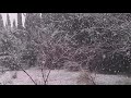 Футаж Зима Cнегопад Winter Snowfall Footage ზამთარი თოვს დიდი ფანტელებით