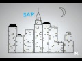 IDM SAP Enterprise Driver