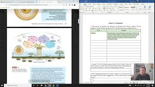 Social 30-1 Chapter 1 Assignment Help