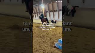Tlm🙏🥺#trending #horse #trend#equestrian #cheval #équitation #number1 #poney#galop#new #nouveau#1er