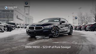 BMW M850 Coupe – 523HP of Pure Domination! | Budds' BMW Hamilton