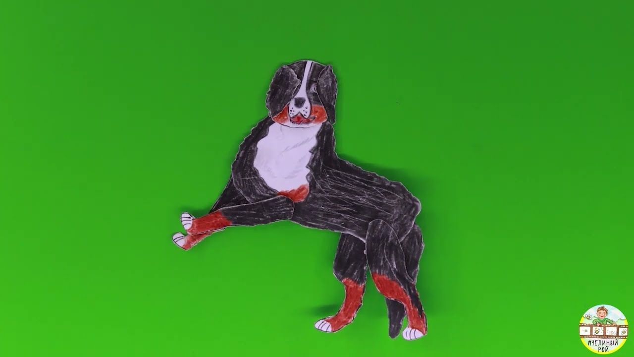 Съемка и монтаж сцен на хромакее_Пчелиный рой_Екатеринбург_2022 - YouTube