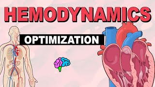 Manipulation & Optimization | Hemodynamics (Part 6)