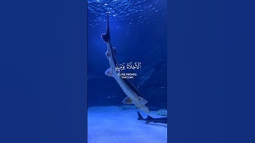 الأخلاء يومئذ بعضهم لبعض عدو _ #عبد_الرحمن_السويد #سورة_الزخرف ❤️