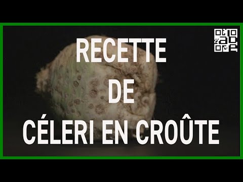 recette-de-céleri-en-croûte-à-l'orientale.-abe-rts