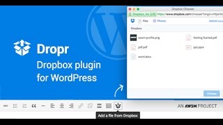 How to Insert files from Dropbox to a WordPress site - Dropr Dropbox plugin for WordPress screenshot 4