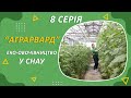 "Аграрвард". Серія 8 "Еко-овочівництво у СНАУ"