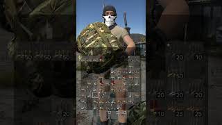 DayZ Tips for Noobs Vol 2 - Inventory Management #dayz #shorts