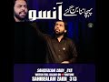 Hamari Qoum Ki Pehchan Ban Gye anso | Sahibealam Zaidi #sahibealamzaidi #noha2023 #nohay2023