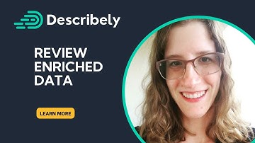 Review Enriched Product Data & Attributes in Describely